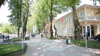 Belediyeden satılık fındıklık, tarla