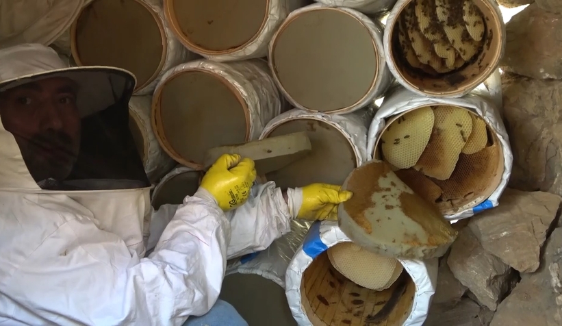 Benzeri yok; Kilosu 2 bin 500 lira