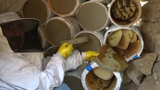 Benzeri yok; Kilosu 2 bin 500 lira