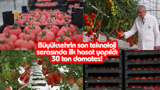 Bereketli bir hasatla 30 bin kilogram alındı