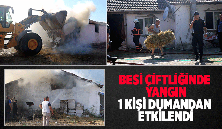 Besi çiftliği yandı