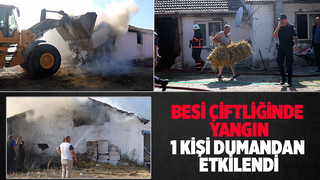 Besi çiftliği yandı