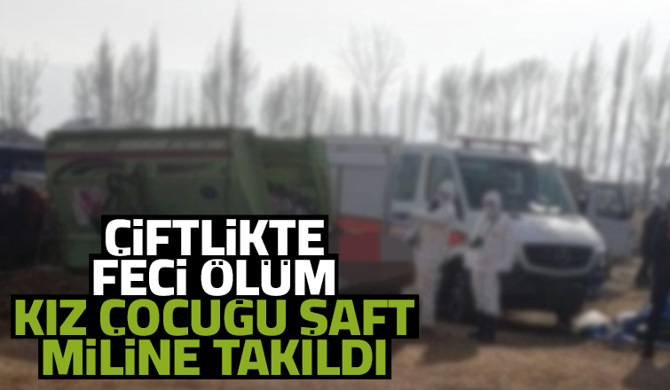 Besi çiftliğinde çocuğun feci ölümü