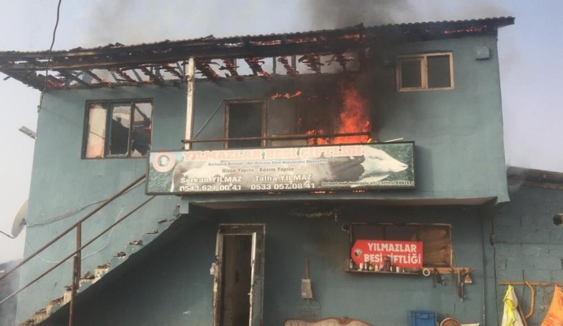 Besi çiftliğinde yangın