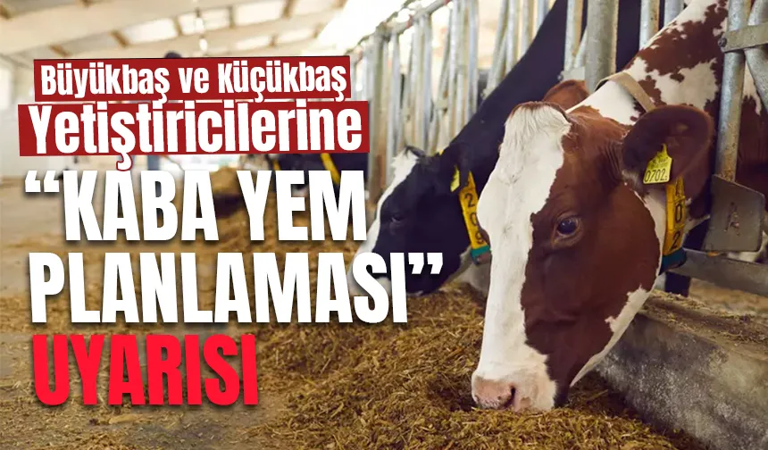 Besicilere kaba yem uyarısı