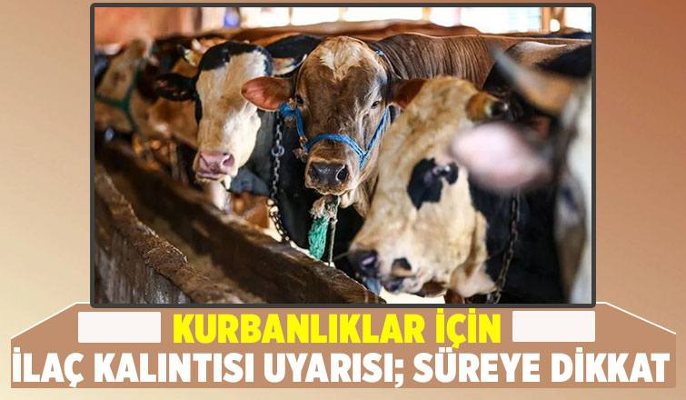 Besicilere kurban öncesi önemli uyarı