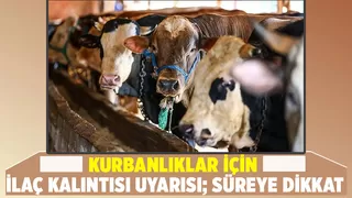 Besicilere kurban öncesi önemli uyarı