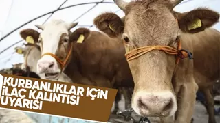 Besicilere kurban öncesi uyarı