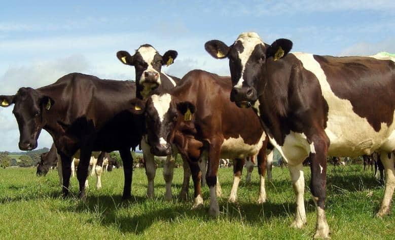 Besicilere meyve ağacı uyarısı