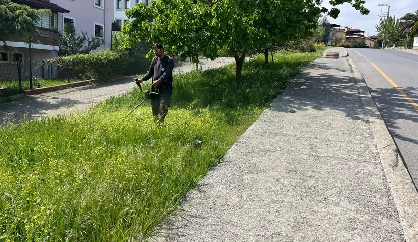 Beşköprü'de yeşil alanlara yoğun bakım
