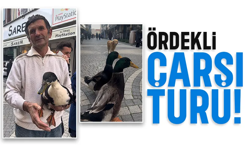 Beslediği ördeği yanından ayırmıyor