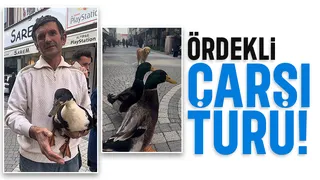 Beslediği ördeği yanından ayırmıyor