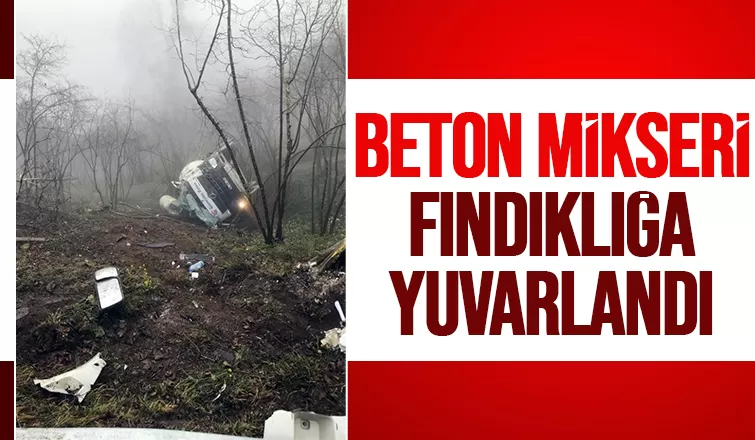Beton mikseri fındık bahçesine yuvarlandı: 1 yaralı