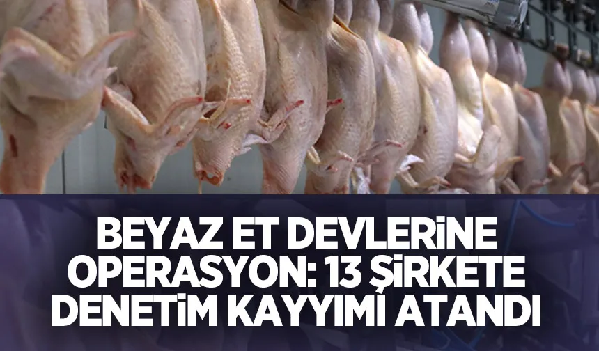 Beyaz et devlerine operasyon