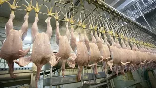 Beyaz et sektörüne 1.2 milyar TL'lik ceza