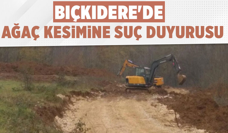 Bıçkıdere'de ağaç kesimine tepki