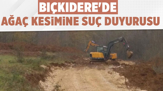Bıçkıdere'de ağaç kesimine tepki