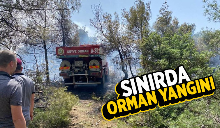 Bilecik-Sakarya sınırında orman yangını