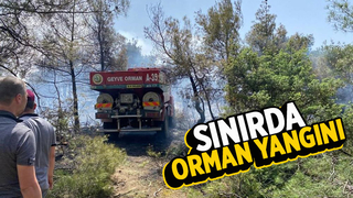 Bilecik-Sakarya sınırında orman yangını