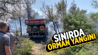 Bilecik-Sakarya sınırında orman yangını
