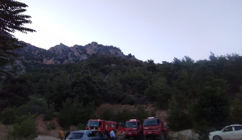 Bilecik’te çıkan orman yangını kontrol altına alındı