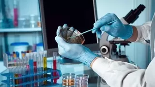 Bilim insanları binlerce yıllık virüsü yeniden canlandırdı