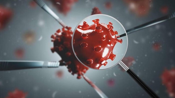 Bilim Kurulu Üyesi Kayıpmaz’dan kan grubu açıklaması