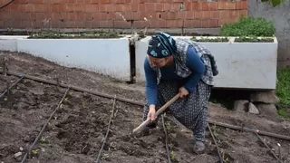 Bin rakımdaki tarlalarda tohumları toprakla buluşturuyorlar