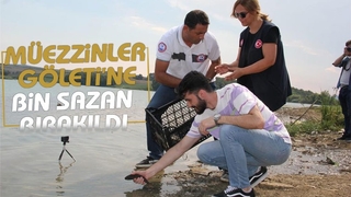 Bin sazan balığı, miniklerin elleriyle suyla buluştu