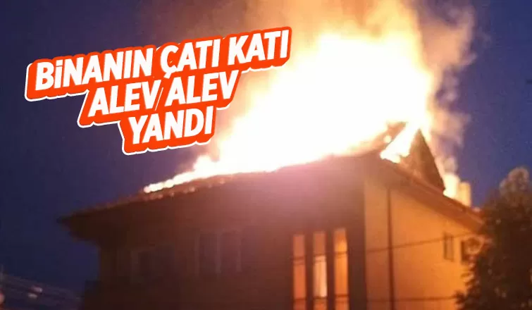 Binanın çatısı alevlere teslim oldu