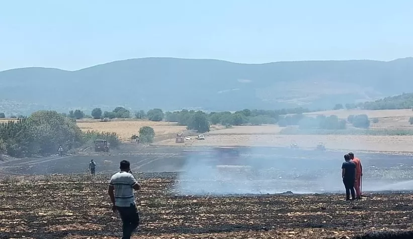 Bir kıvılcım 30 dönüm buğdayı yaktı