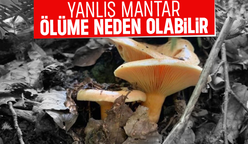 Bir lokması bile öldürebilir; Uzmandan kritik uyarı