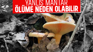 Bir lokması bile öldürebilir; Uzmandan kritik uyarı