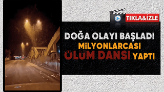 Birgün sineklerinin ölüm dansı başladı