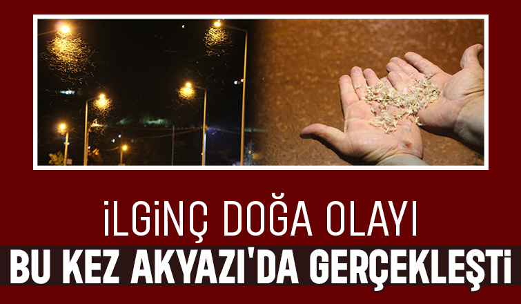 Birgün sineklerinin ölüm dansı ritüeli bu kez Akyazı'da görüldü