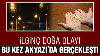 Birgün sineklerinin ölüm dansı ritüeli bu kez Akyazı'da görüldü