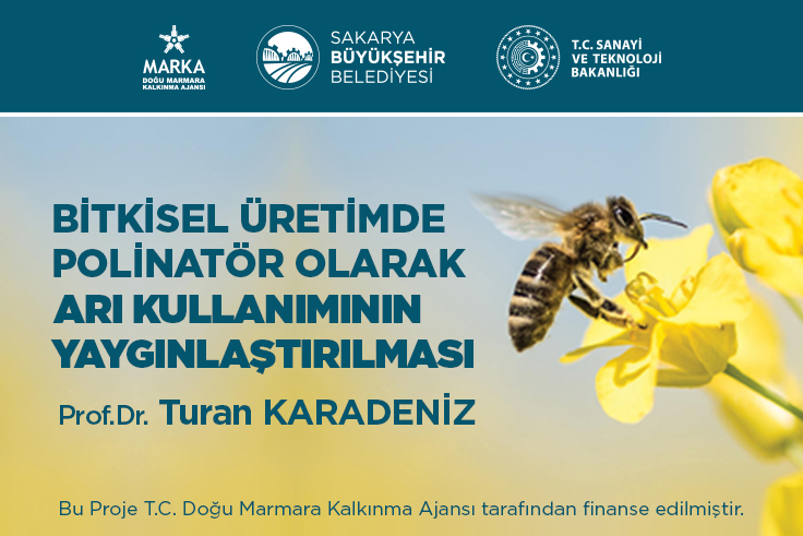 Bitkisel üretimde arı kullanımı yaygınlaşacak