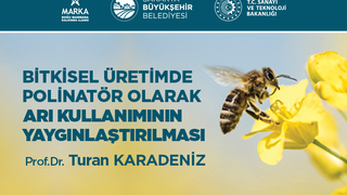 Bitkisel üretimde arı kullanımı yaygınlaşacak