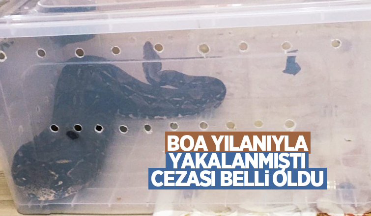 Boa yılanıyla yakalanmıştı, cezası belli oldu