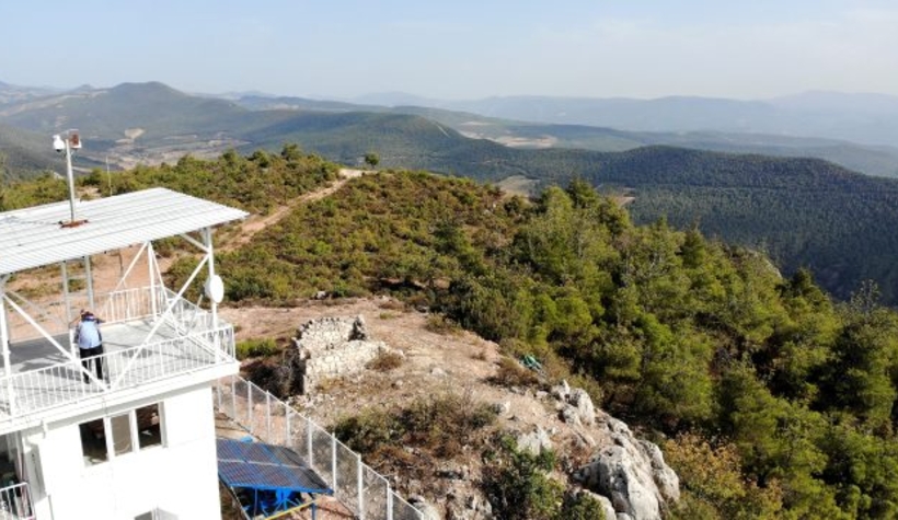 Bölge ormanları ona emanet