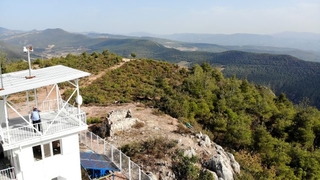 Bölge ormanları ona emanet