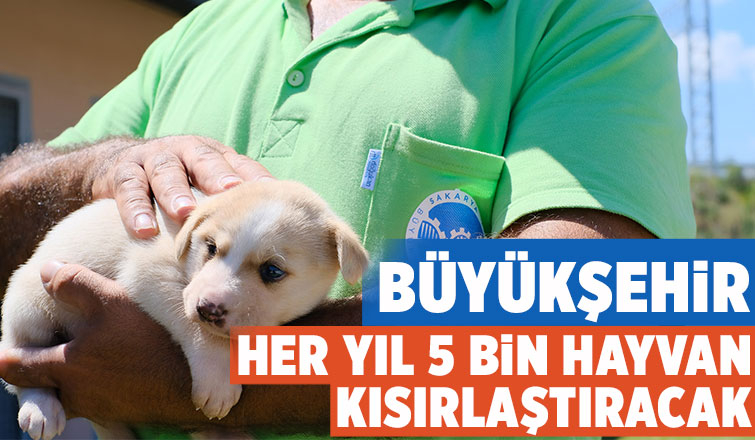 Bölgenin en büyük hastanesi can dostlara kucak açtı