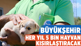 Bölgenin en büyük hastanesi can dostlara kucak açtı