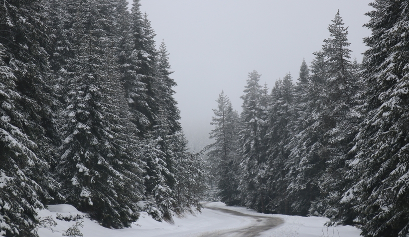 Bolu'da Nisan ayında kar sürprizi