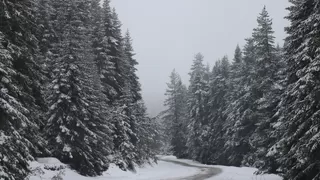 Bolu'da Nisan ayında kar sürprizi