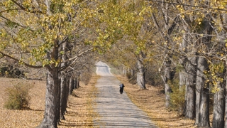 Bolu'dan sonbahar manzaraları