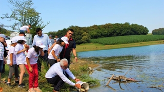 Bolu’da yetiştirilen sazanlar Sakarya’da suyla buluşturuldu