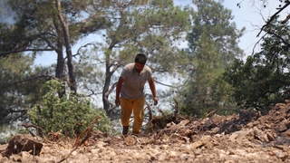 Bolu’daki orman yangınına müdahale devam ediyor