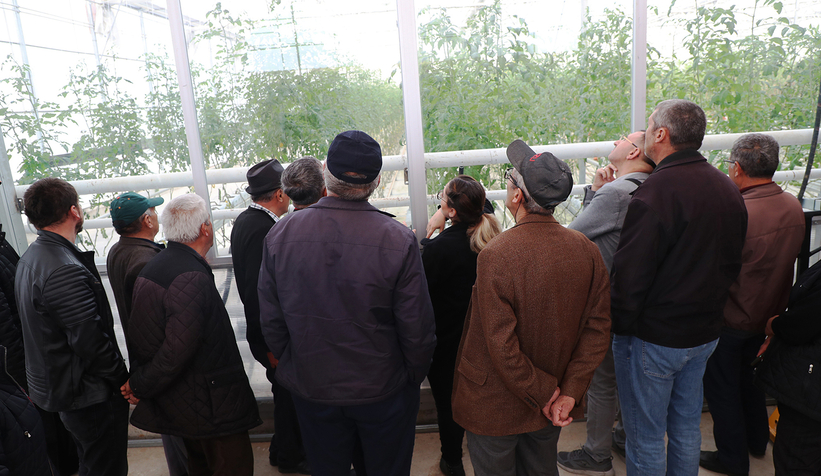 Bolulu çiftçiler Seracılık Mükemmeliyet Merkezi'ni gezdi