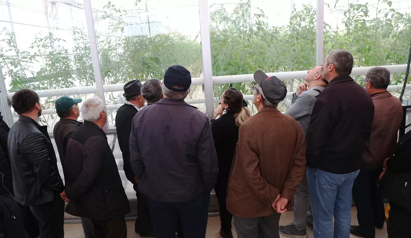 Bolulu çiftçiler Seracılık Mükemmeliyet Merkezi'ni gezdi